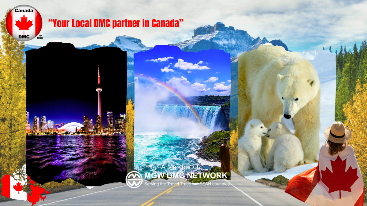 Profile DMC Canada Final Cover (1) Profile DMC Canada Final Cover (1)