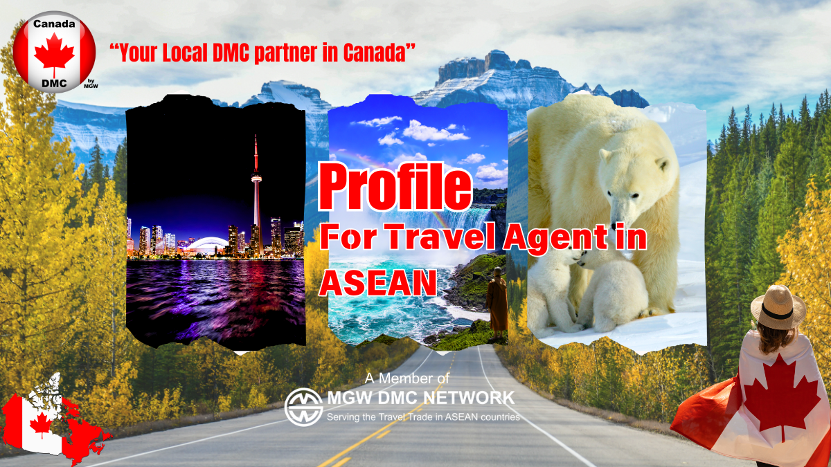 Profile DMC Canada Final Profile DMC Canada Final