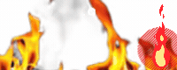 Hot Item Hot Item